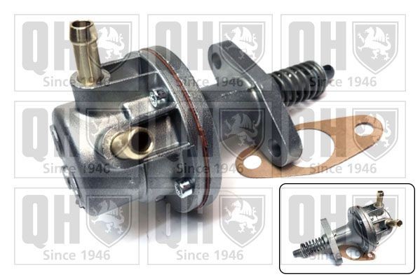 QUINTON HAZELL Fuel pump Article number: QFP69 cheaply