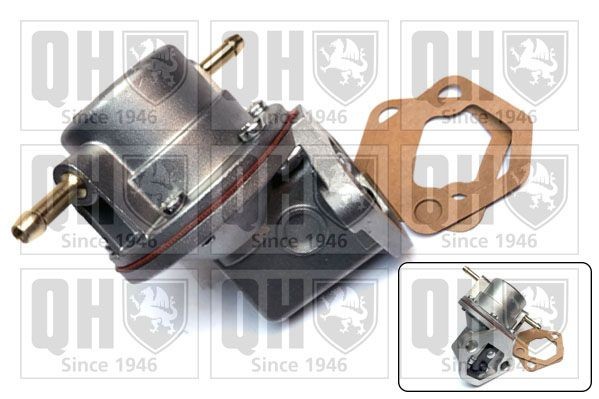 QUINTON HAZELL Fuel pump Article number: QFP79 cheaply