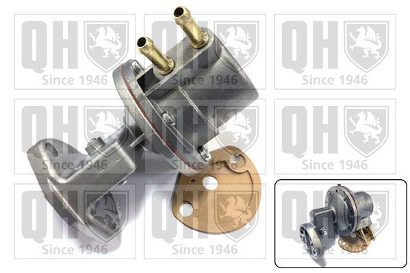QUINTON HAZELL Fuel pump Article number: QFP98 cheaply