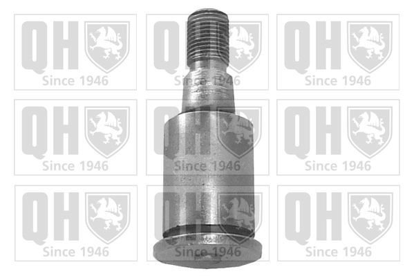 QUINTON HAZELL Ball Joint Article number: QR54S cheaply