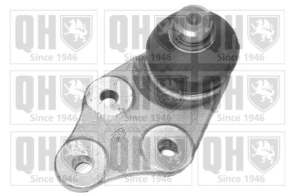 QUINTON HAZELL Ball Joint Article number: QSJ1019S cheaply