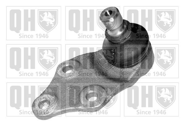 QUINTON HAZELL Ball Joint Article number: QSJ1147S cheaply