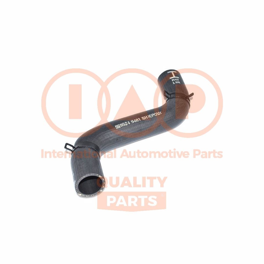 IAP QUALITY PARTS Radiatora cauruļvads raksta numurs: 153-20093 lēti