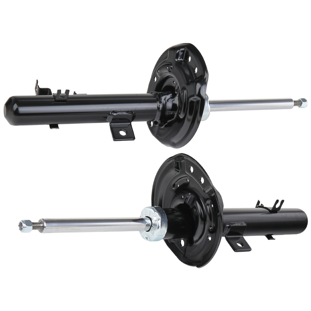 RIDEX Shock absorber Article number: 854S2201 cheaply