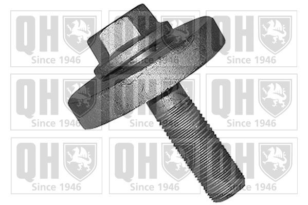 QUINTON HAZELL QTT1152B Pulley Bolt SCÉNIC 1.6 (JA00, JA16, JA15, JA19, JA1V, JA2B, JA2C, JA0B,... 107 PS Petrol 2003