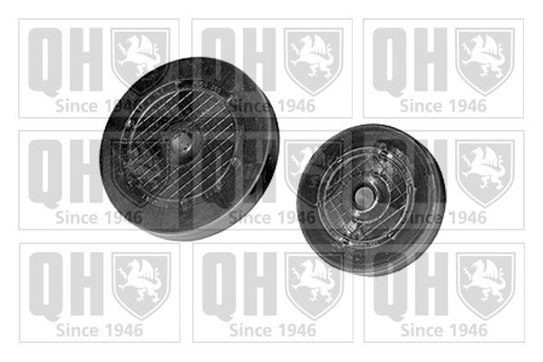 QUINTON HAZELL Plug, rocker arm shaft mounting bore Article number: QTT3000K cheaply