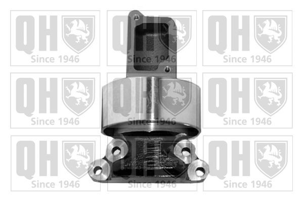 QUINTON HAZELL Timing belt deflection pulley Article number: QTT834 cheaply