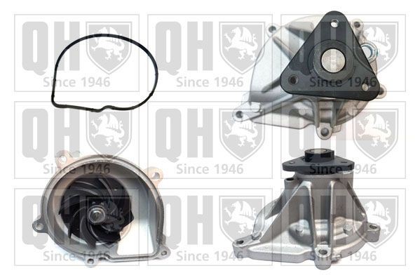 QUINTON HAZELL Water pump Article number: QCP3933 cheaply