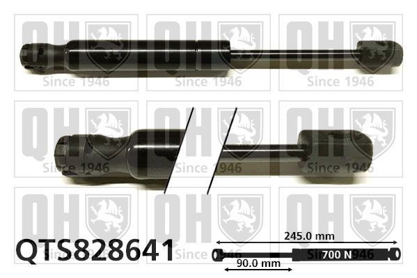 QUINTON HAZELL Gas Spring, convertible top Article number: QTS828641 cheaply
