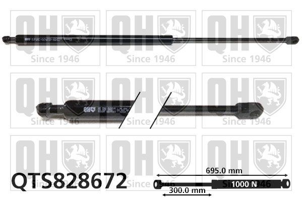 QUINTON HAZELL Tailgate strut Article number: QTS828672 cheaply