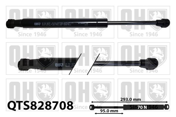 QUINTON HAZELL Gas Spring, tray (boot / cargo bay) Article number: QTS828708 cheaply