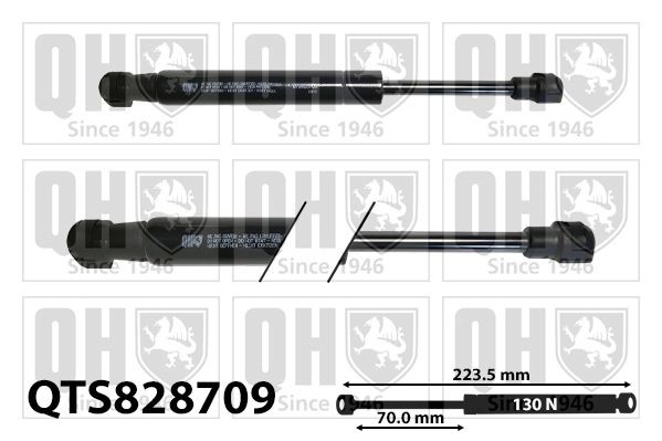 QUINTON HAZELL Gas Spring, tray (boot / cargo bay) Article number: QTS828709 cheaply