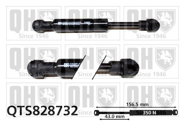 QUINTON HAZELL Tailgate strut Article number: QTS828732 cheaply