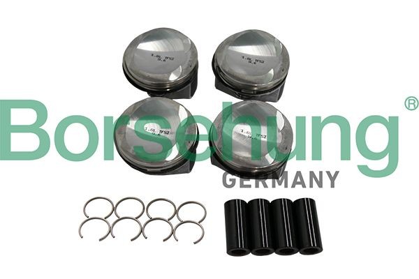 Borsehung Piston Set Article number: B19151 cheaply