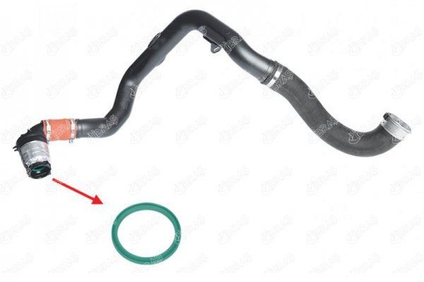 IBRAS Seal, turbo air hose Article number: 12763 cheaply