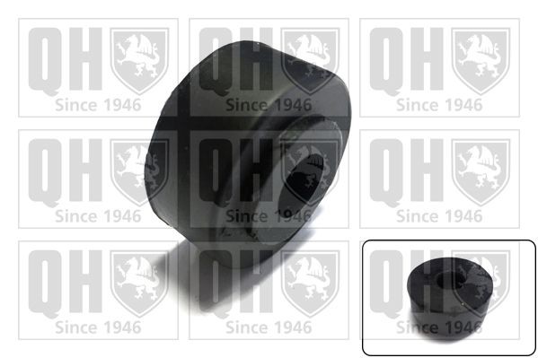 QUINTON HAZELL Trailing arm / Suspension arm bush Article number: Y53 cheaply