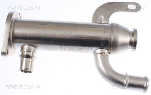 TRISCAN 8813 10109 EGR-jahuti C-MAX 2.0 TDCi 133 HP Diisel 2010