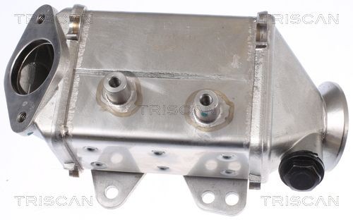 TRISCAN 8813 10113 EGR-jahuti COMBO 1.3 CDTI (C26, D26, E26, C05) 95 HP Diisel