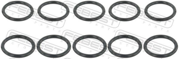 FEBEST Gasket, coolant flange Article number: RINGWH-008-PCS10 cheaply