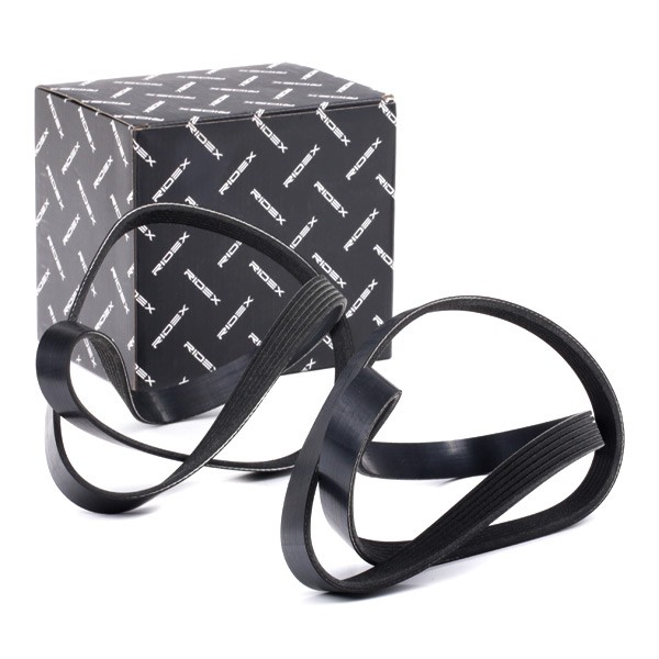 RIDEX V-Ribbed Belt Set Article number: 542R0084 cheaply