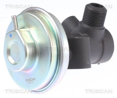 TRISCAN EGR-klapp Artikli number: 8813 14008 soodsalt