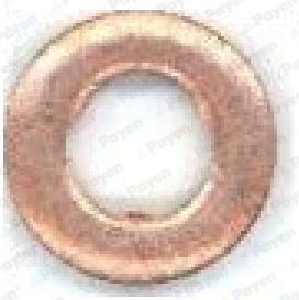 PAYEN KG5342 Kaitseseib, sissepritsesüsteem 300 3.0 V6 CRD 211 HP Diisel