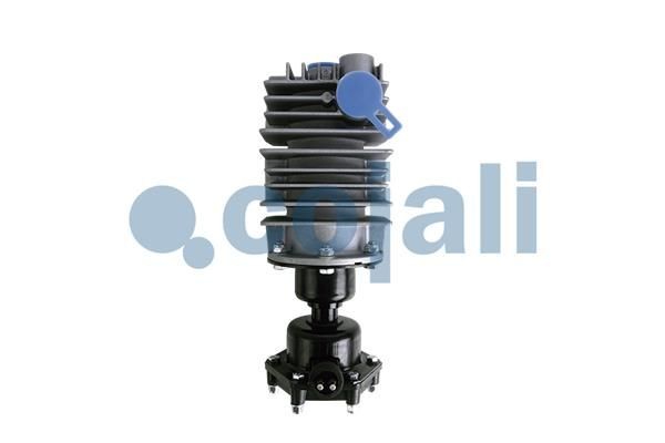 COJALI Trykluftfilter Varenummer: 2480005 billige