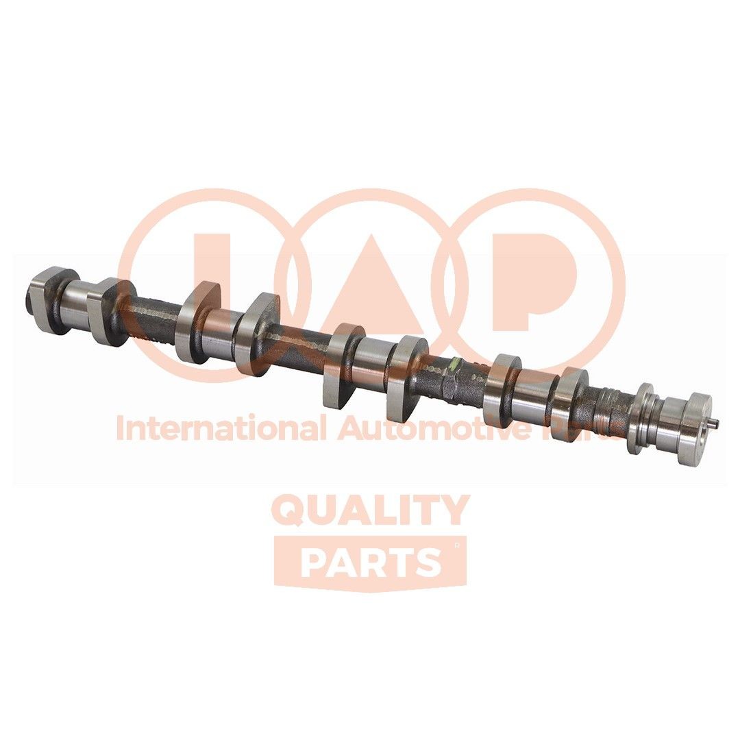 IAP QUALITY PARTS Nukkvõll Artikli number: 124-25041 soodsalt