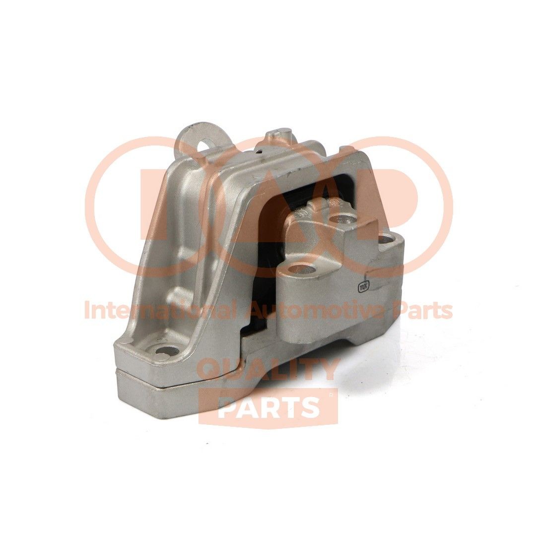 IAP QUALITY PARTS Piekare, Dzinējs raksta numurs: 138-25060 lēti