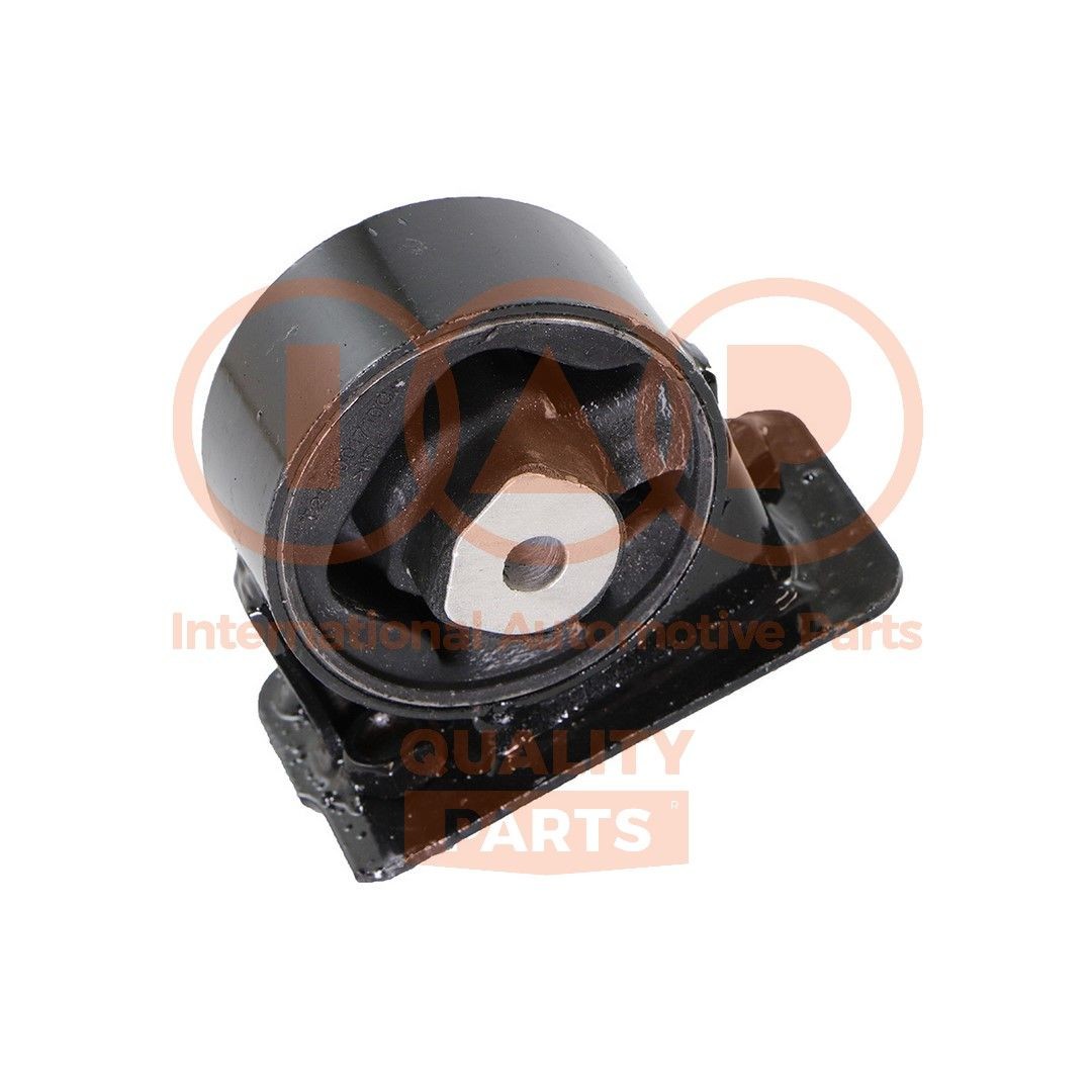 IAP QUALITY PARTS Piekare, Dzinējs raksta numurs: 138-25063 lēti