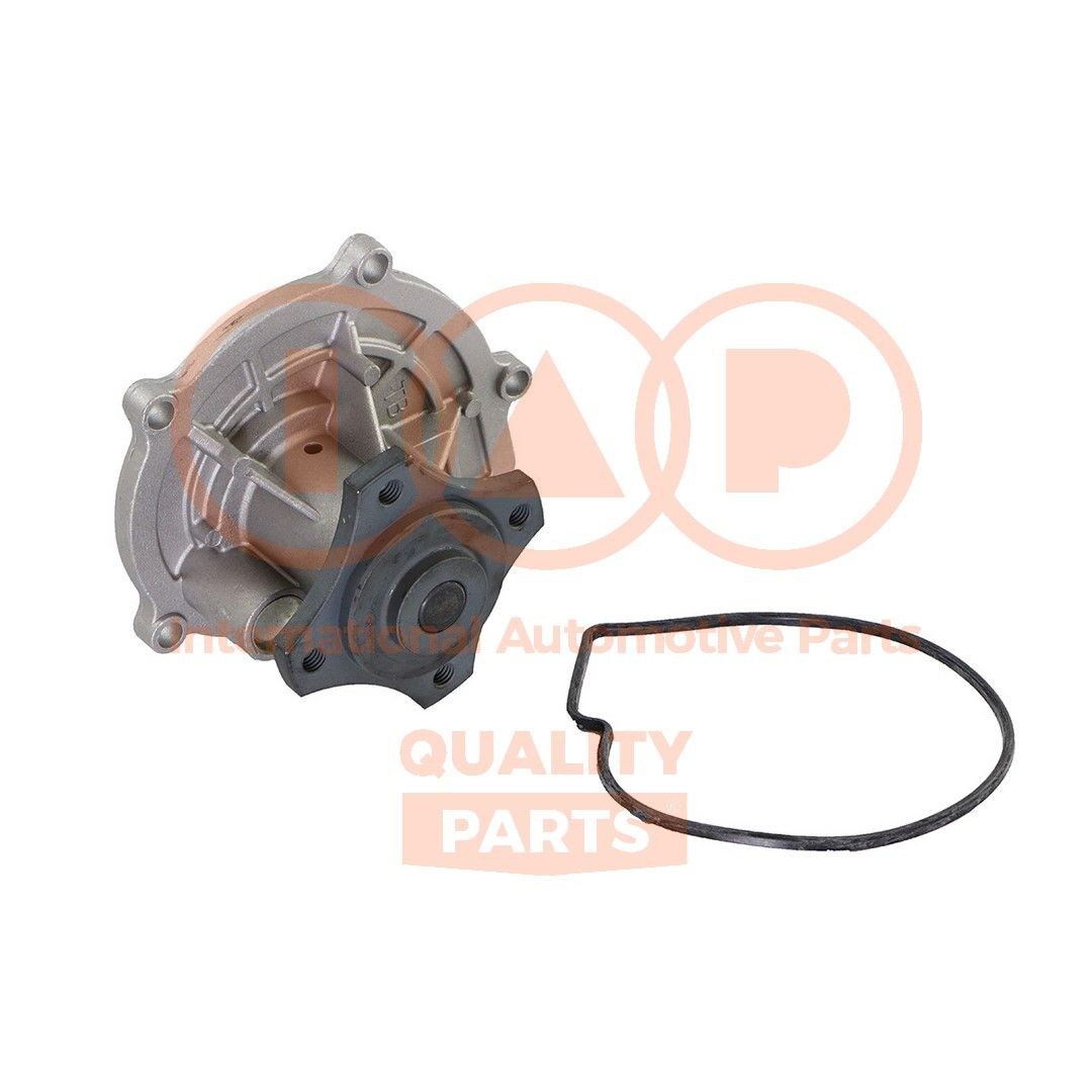 IAP QUALITY PARTS Vandpumpe Varenummer: 150-25060 billige