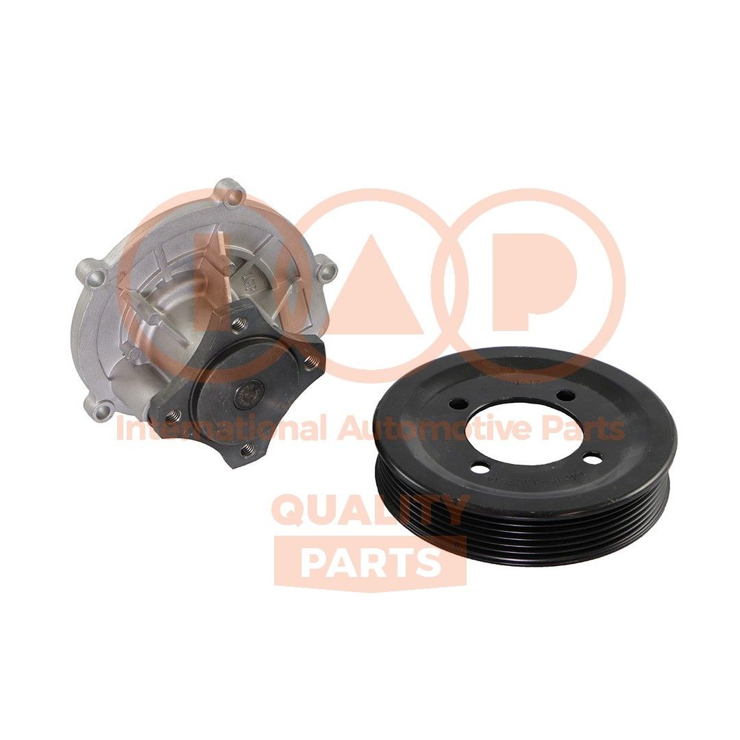 IAP QUALITY PARTS Vandpumpe Varenummer: 150-25060C billige
