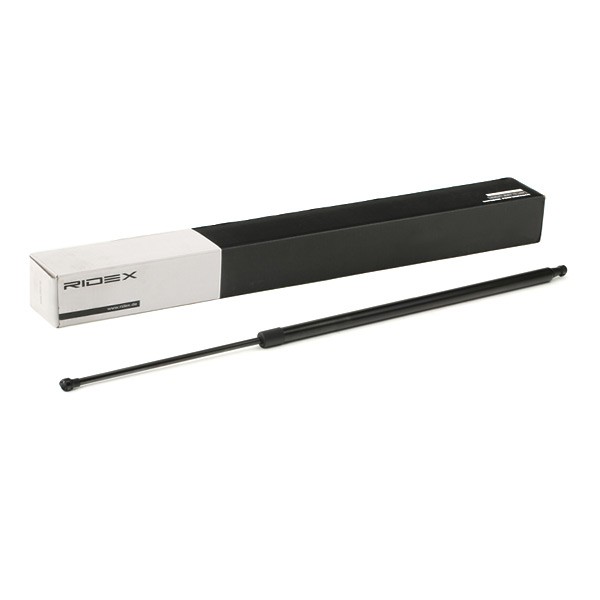 RIDEX Bagklapsdæmper Varenummer: 219G0942 billige