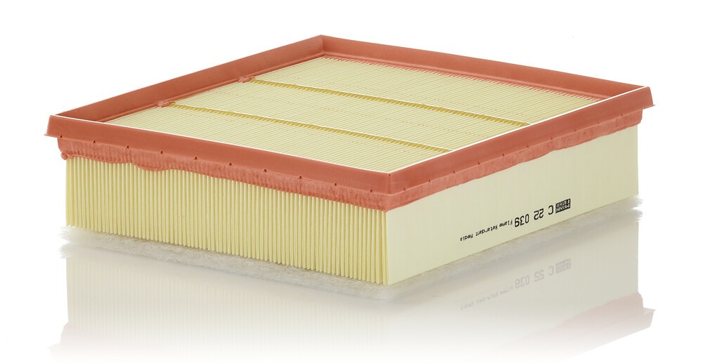 MANN-FILTER Luftfilter Varenummer: C 22 039 billige