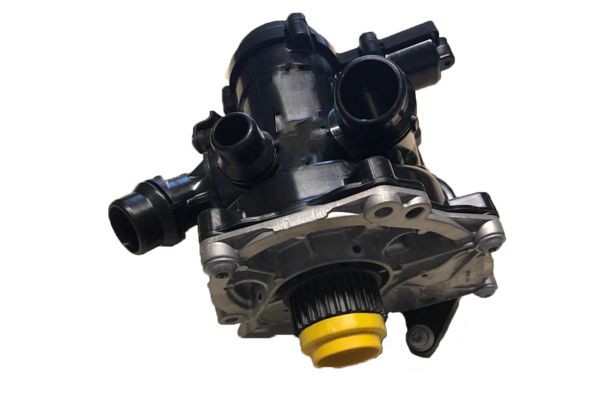 BUGIAD Water pump Article number: BSP25174 cheaply