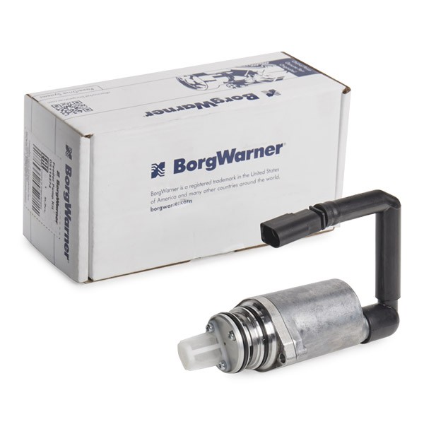 BorgWarner Pump, all-wheel-drive coupling Article number: DS118574 cheaply