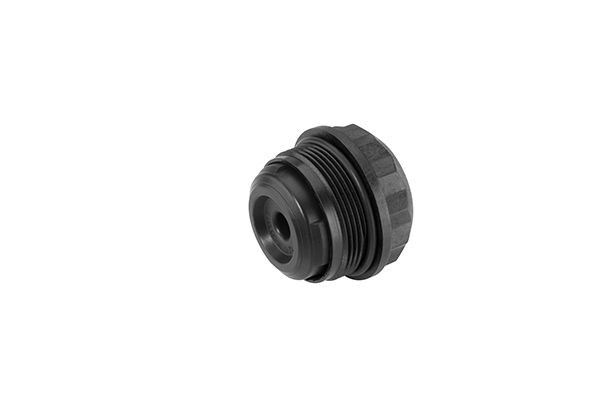 BorgWarner Hydraulic Filter, Haldex coupling Article number: DS120359 cheaply