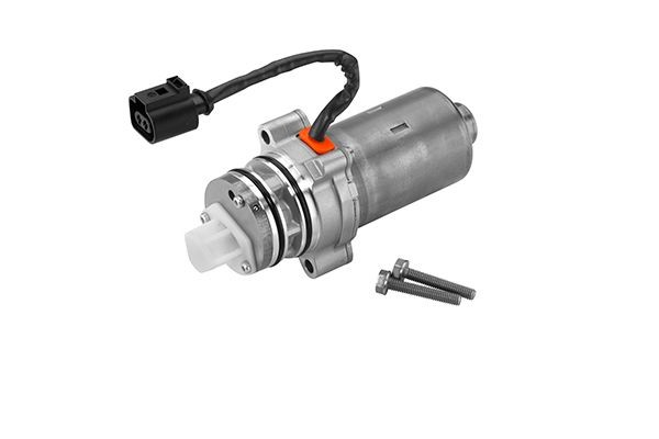 BorgWarner Pump, all-wheel-drive coupling Article number: DS2002774 cheaply