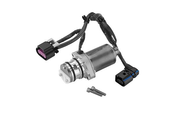 BorgWarner Pump, all-wheel-drive coupling Article number: DS2004444 cheaply