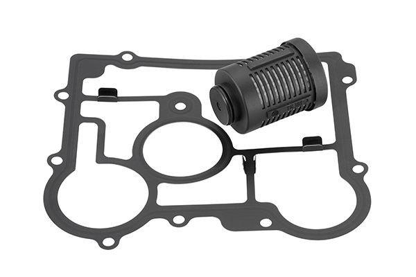 BorgWarner Hydraulikfilter, Haldex-kobling Varenummer: DS2006273 billige