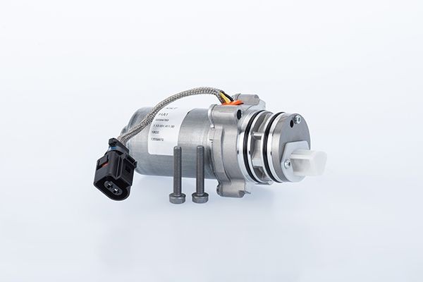 BorgWarner Pump, all-wheel-drive coupling Article number: DS4601410015 cheaply