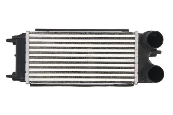 THERMOTEC Intercooler artikkelnummer: DAG018TT billig
