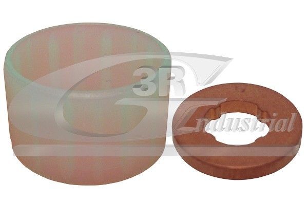 3RG Seal Kit, injector nozzle Article number: 83254 cheaply