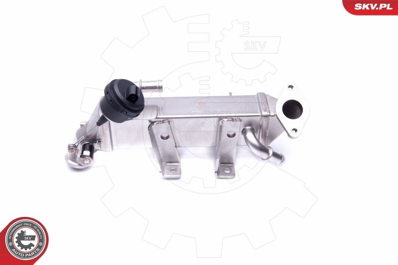 ESEN SKV 14SKV198 EGR-jahuti ESPACE 2.0 dCi (JK01, JK02, JK1J, JK1K, JK1H) 150 HP Diisel