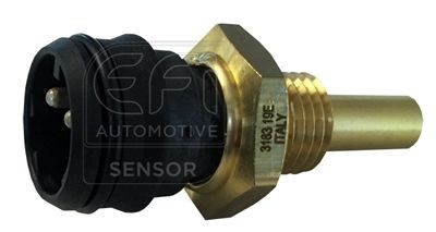 EFI AUTOMOTIVE Sensor, coolant temperature Article number: 295057 cheaply