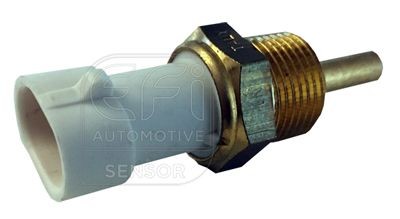 EFI AUTOMOTIVE Sensor, coolant temperature Article number: 295070 cheaply