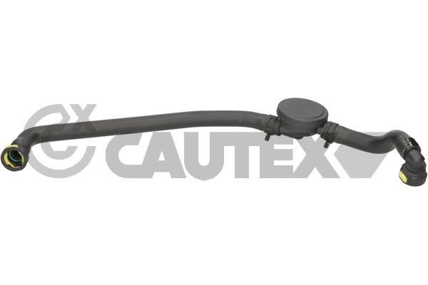 CAUTEX 026858 Toruühendus, EGR-klapp CLIO 1.9 D (B/C/S576, B/C/S57L) 64 HP Diisel 1998
