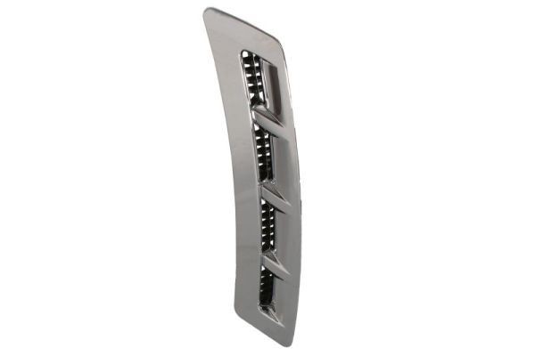 BLIC Trim / Protective Strip, mudguard Article number: 5703-04-9802421P cheaply