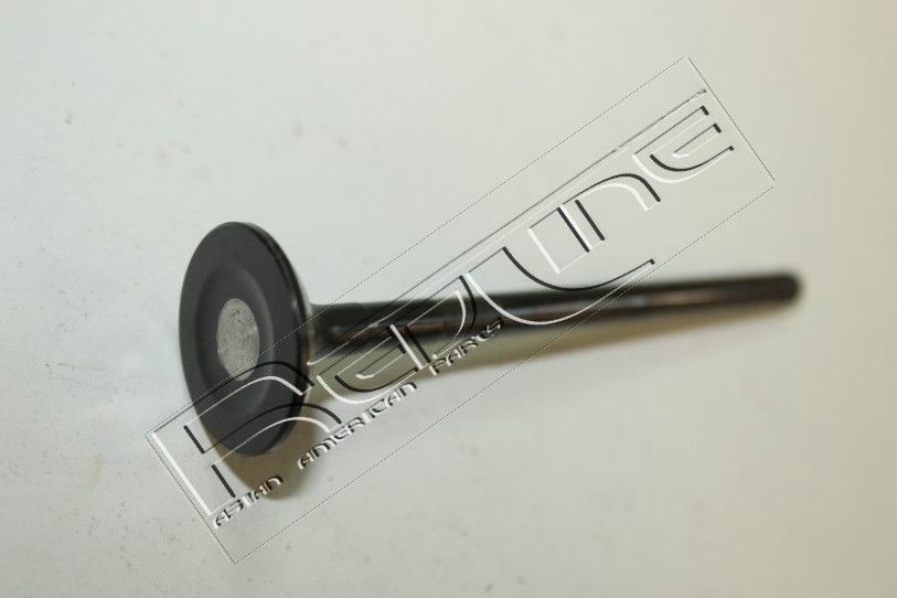 RED-LINE Exhaust valve Article number: 15KI020 cheaply