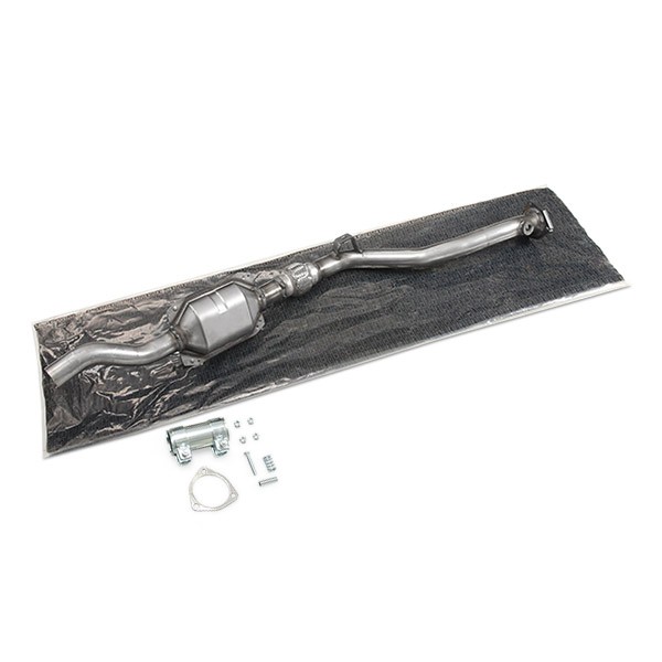 RIDEX Catalizzatore Numero articolo: 429C0595 poco costoso